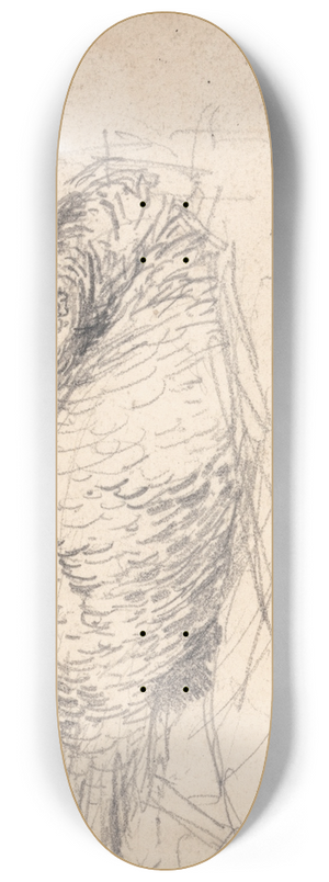 James Ward - A Turkey Sitting on Eggs 8.25 inch art skate deck