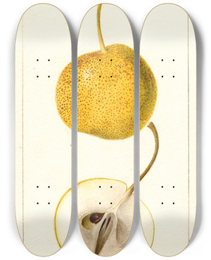 Triptych art skateboard deck of Deborah Griscom Passmore Pyrus Communis Mikado by Deborah Griscom Passmore (1840-1911)
