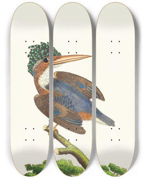 Triptych art skateboard deck of George Shaw The Crested Kingfisher by George Shaw (1751-1813)