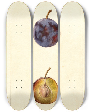 Triptych art skateboard deck of Deborah Griscom Passmore Prunus Domestica White Queen by Deborah Griscom Passmore (1840-1911)