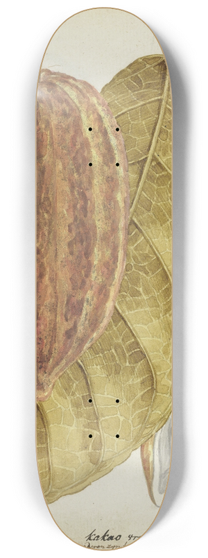 Jan Brandes - Cacao 8.25 inch art skate deck