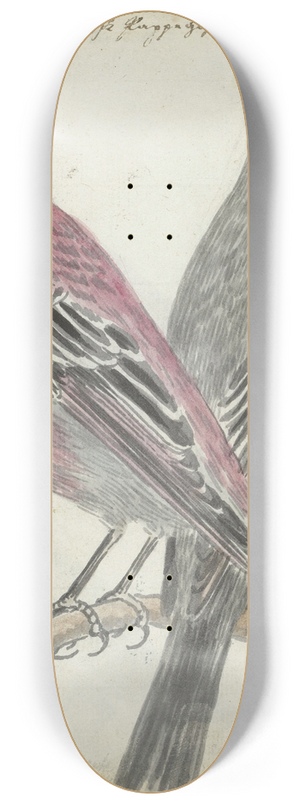 Jan Brandes - Zweedse vogels 8.25 inch art skate deck
