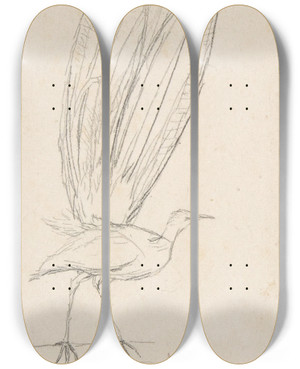 Triptych art skateboard deck of Charles Meryon A Lyre Bird by Charles Meryon (1821-1868)