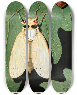 Triptych art skateboard deck of Robert Evans Snodgrass Cicada by Robert Evans Snodgrass (1875-1962)
