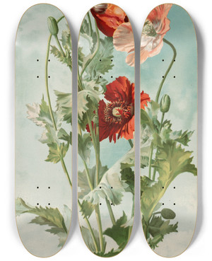Triptych art skateboard deck of Thaddeus Welch Poppies by Thaddeus Welch (1844-1919)