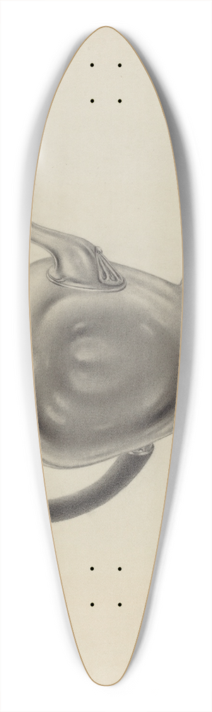Aaron Fastovsky - Silver Teapot 39.3 inch art pintail longboard deck