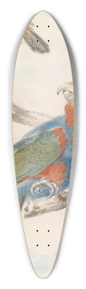 Abraham Meertens - Papagei 39.3 inch art pintail longboard deck