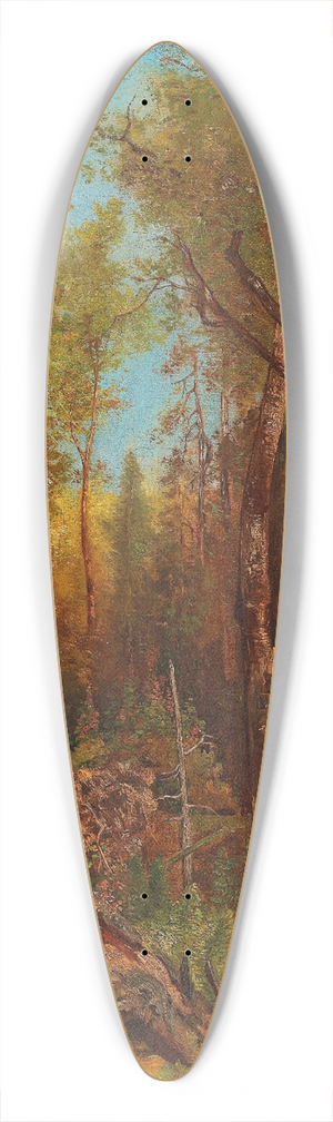 Adolf Obermllner - Aus den Forsten des Frsten Schwarzenberg 39.3 inch art pintail longboard deck