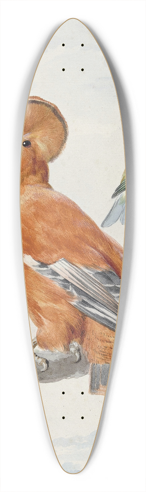 Aert Schouman - Two Exotic Birds 39.3 inch art pintail longboard deck