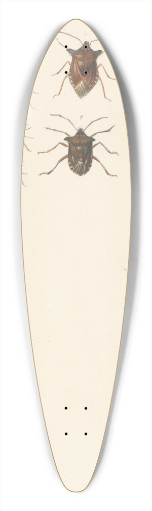 Albertus Steenbergen - Studieblad met elf verschillende kevers 39.3 inch art pintail longboard deck