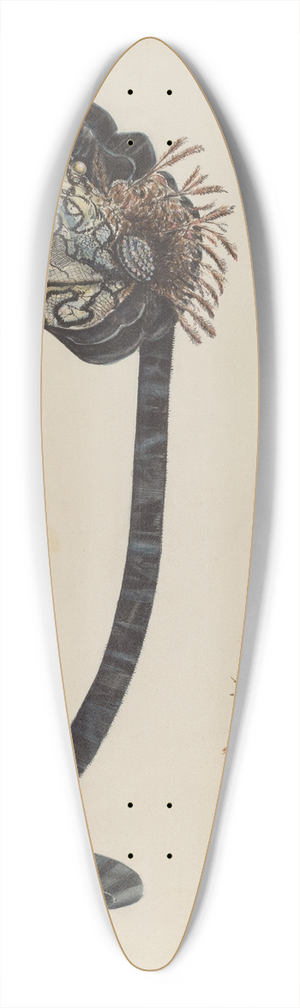 Al Curry - Bonnet 39.3 inch art pintail longboard deck
