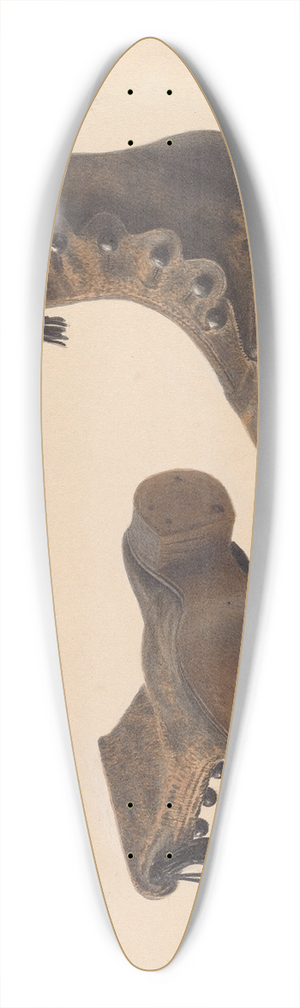 Alexander Anderson - Childs Shoe 39.3 inch art pintail longboard deck