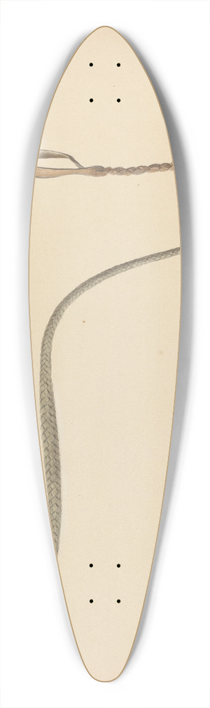 Alexander Anderson - Rawhide Herders Whip 39.3 inch art pintail longboard deck