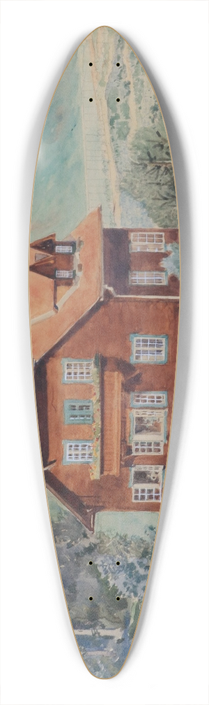 Alexander Pock - Haus 39.3 inch art pintail longboard deck