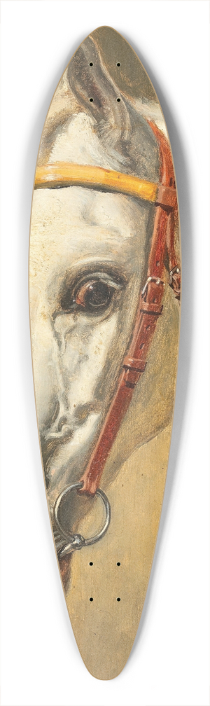 Alexander Pock - Pferdeportrait Quinta 39.3 inch art pintail longboard deck