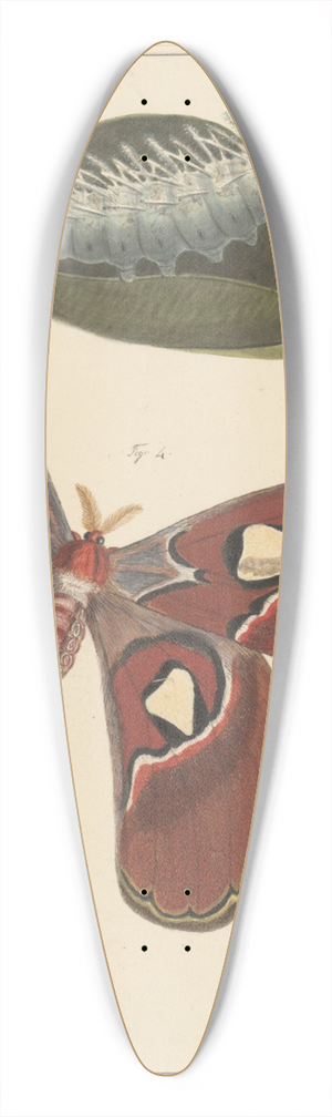 Alexander Ver Huell - Studies van een rups, een vlinder en een pop 39.3 inch art pintail longboard deck