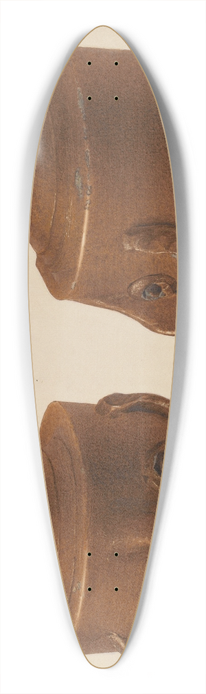 Alfred Parys - Jug 39.3 inch art pintail longboard deck