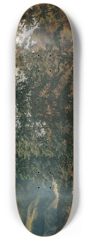 Jan Novopacky - Berchtesgaden 8.25 inch art skate deck