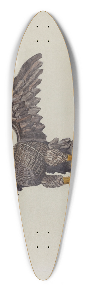 Alice Domey - Eagle 39.3 inch art pintail longboard deck