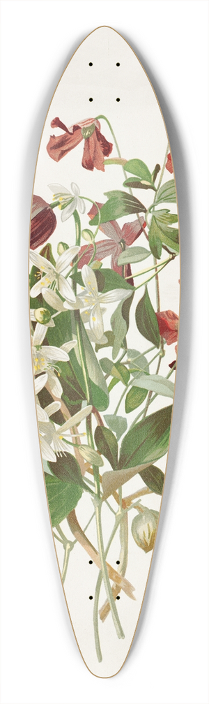 Alois Lunzer - Clematis 39.3 inch art pintail longboard deck