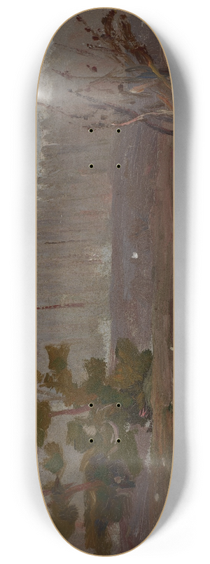 Jan Stanislawski - Grey Spring Day 8.25 inch art skate deck