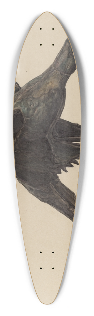 American 20th Century - Eagle 39.3 inch art pintail longboard deck