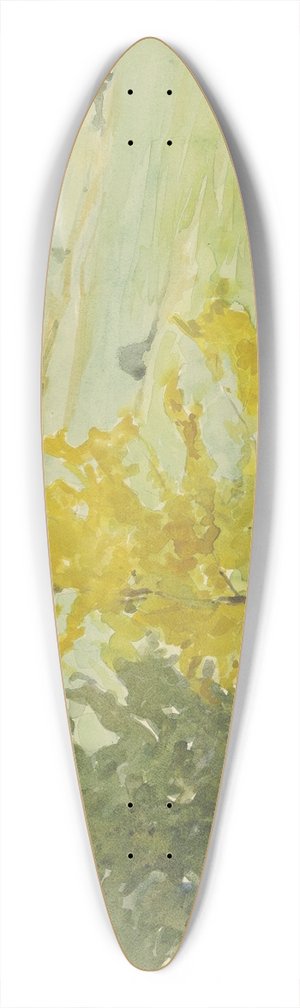 Andreas Egersdoerfer - Rhn landscape 39.3 inch art pintail longboard deck