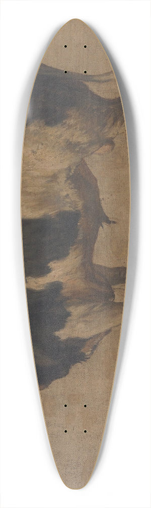 Andre Plumot - Bull 39.3 inch art pintail longboard deck
