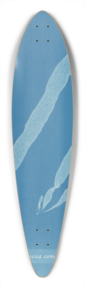 Anna Atkins - Asperococcus compressus 39.3 inch art pintail longboard deck