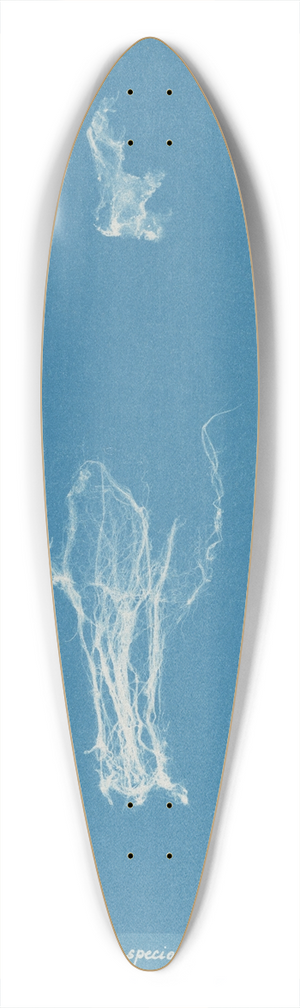 Anna Atkins - Lyngbya speciosa 39.3 inch art pintail longboard deck