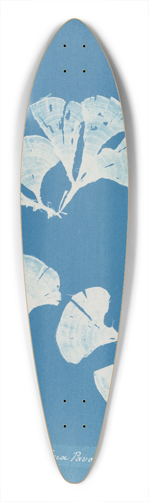 Anna Atkins - Padina Pavonia. 39.3 inch art pintail longboard deck