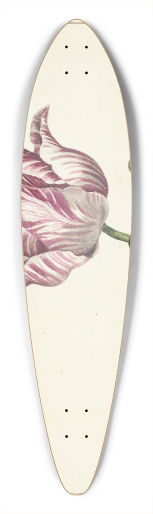 Anna Cornelia Moda - Tulip 39.3 inch art pintail longboard deck