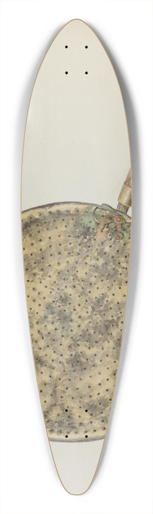 Annie B. Johnston - Brass Sugar Skimmer 39.3 inch art pintail longboard deck