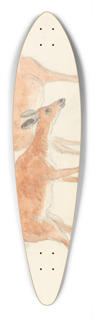 Anthony Devis - American Deer 39.3 inch art pintail longboard deck