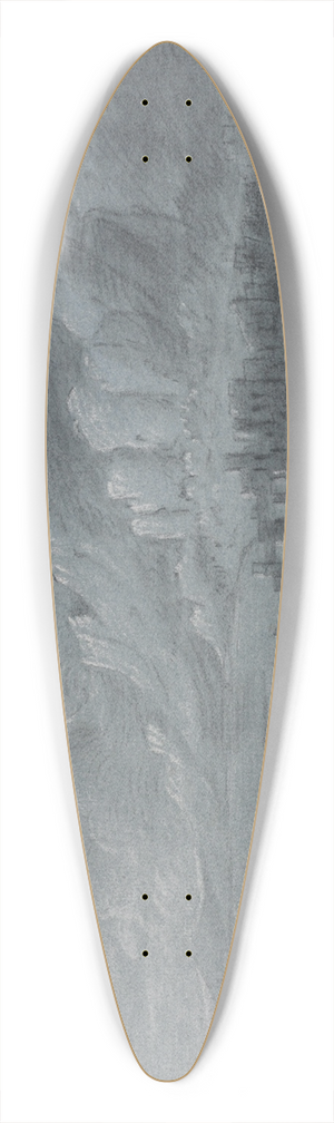 Anthony Devis - Lake and mountains 39.3 inch art pintail longboard deck