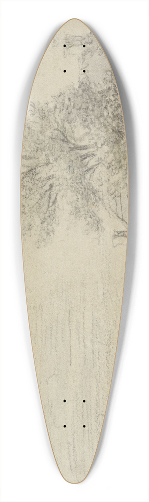 Antonie Waterloo - River landscape 39.3 inch art pintail longboard deck