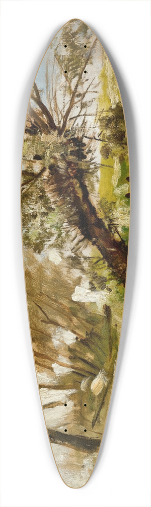 Antoni Kozakiewicz - Willows 39.3 inch art pintail longboard deck