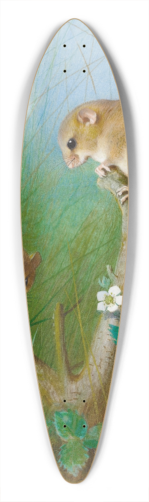 Archibald Thorburn - Dormice 39.3 inch art pintail longboard deck
