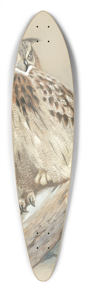 Archibald Thorburn - Eagle Owl 39.3 inch art pintail longboard deck