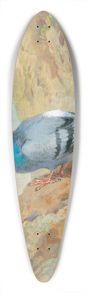 Archibald Thorburn - Rock Doves 39.3 inch art pintail longboard deck