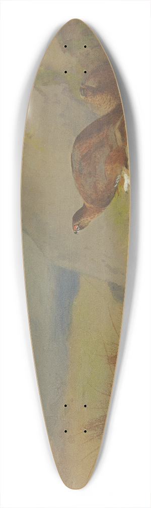 Archibald Thorburn - Study for Grouse on the Moor 39.3 inch art pintail longboard deck