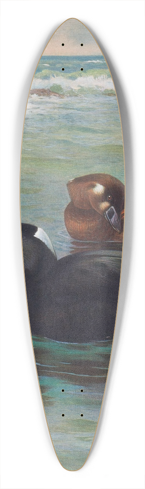 Archibald Thorburn - Surf-Scoter 39.3 inch art pintail longboard deck
