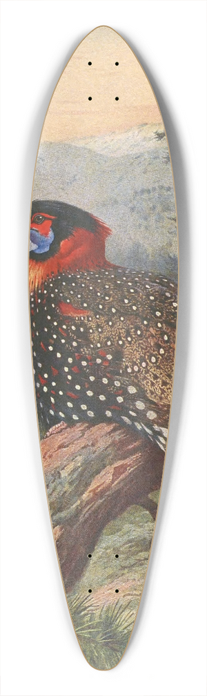Archibald Thorburn - Western Tragopan 39.3 inch art pintail longboard deck