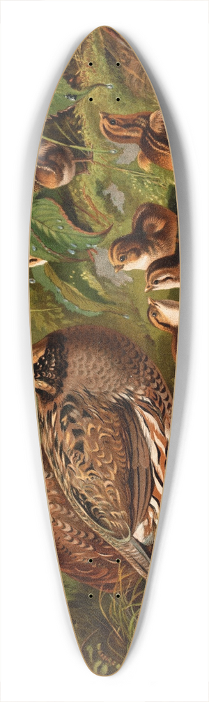 Arthur Fitzwilliam Tait - Quail 39.3 inch art pintail longboard deck