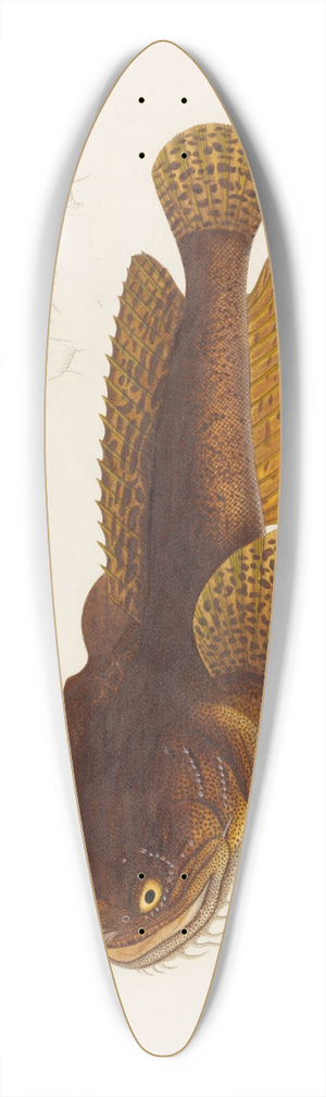 Arthus Bertrand - Batrachus Algeriensis 39.3 inch art pintail longboard deck