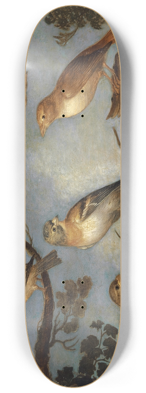 Jan Van Kessel The Elder - Birds on the Branches of a Tree 8.25 inch art skate deck