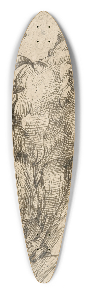 Bartolomeo Passarotti - Study of an eagle 39.3 inch art pintail longboard deck