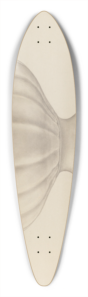 Bena Mayer - Compote 39.3 inch art pintail longboard deck