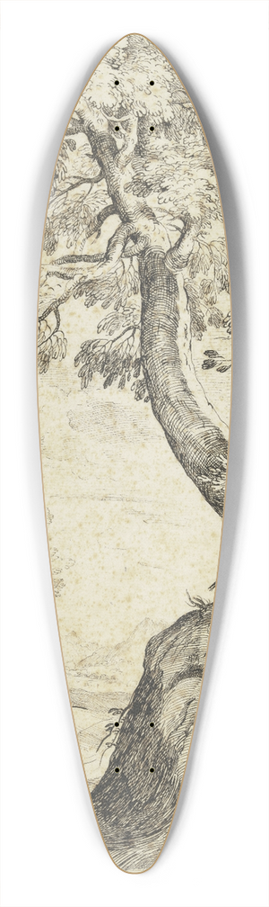 Bernardo Zilotti - Tree section 39.3 inch art pintail longboard deck