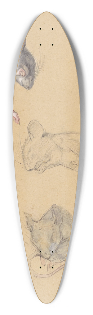 Bernard Willem Wierink - Drie studies van een bosmuis 39.3 inch art pintail longboard deck